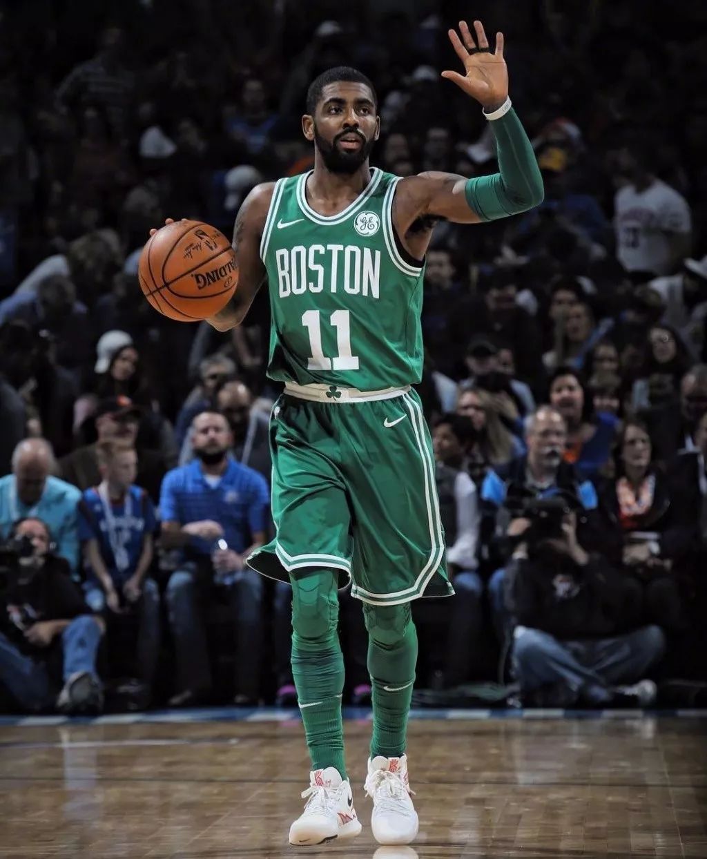 冠脉络的焦 冠脉络的焦